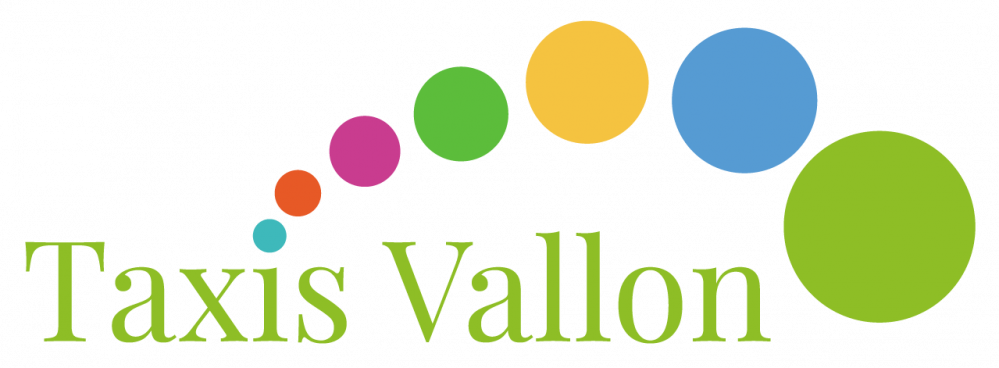 logo-taxivallon.png